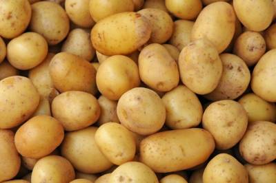 Oppsiktsvekkende funn i poteter