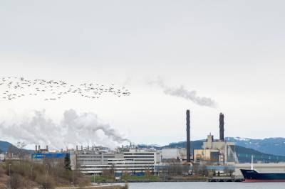 Norske Skog får ikke lenger gratis klimakvoter: – Dette er svært alvorlig