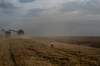 Norge plusser på 120 millioner for å sikre matforsyninger fra Ukraina