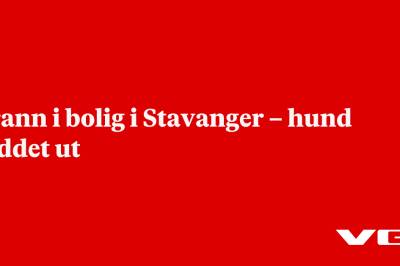 Brann i bolig i Stavanger – hund reddet ut