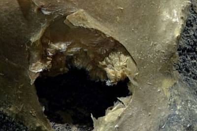 Mystisk funn på havbunnen: – Noe rart