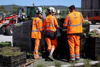 Landets største anleggsgartner permitterer 70