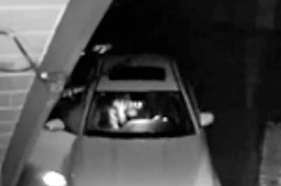 Kledde seg ut som bjørner og ødela luksusbiler