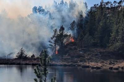 Brannvesenet har kontroll på skogbrannen i Fitjar