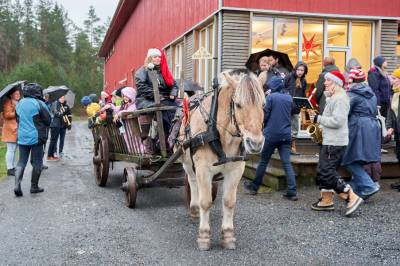 Mange trosset regnet • Birkenesavisa