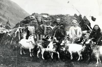 Vet du hva verddevuohta betyr?