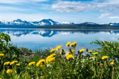 Meteorologer: På disse stedene i Norge har vinteren forsvunnet