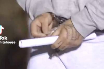 Det hvite hus med video: – Fungerer som ragebait