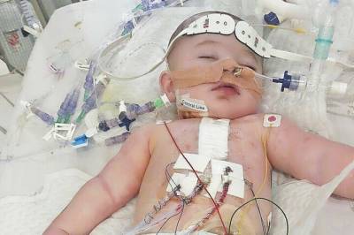 Reddet av legene - og en ku