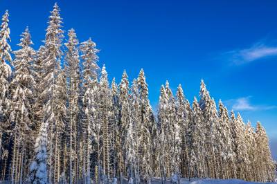 Knallforhold for skifolket i Sør-Norge denne helgen