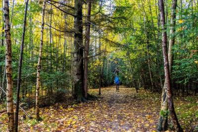 width=device-width, initial-scale=1