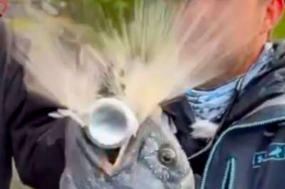 Raser over video: – Forkastelig