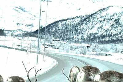 Flokkar seg til Filefjellsvegen