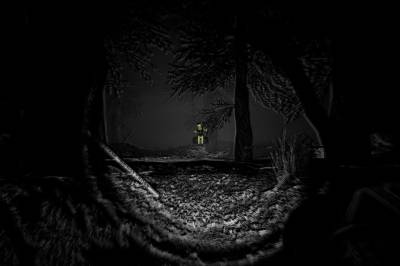 Who are you!? – Mysteriet forblir uløst