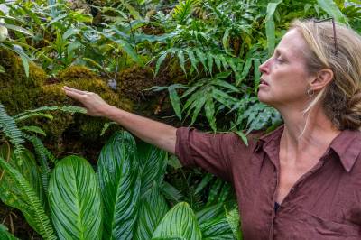 Flere tyverier av sjeldne planter: Veksthusene i Botanisk hage i Oslo stenges