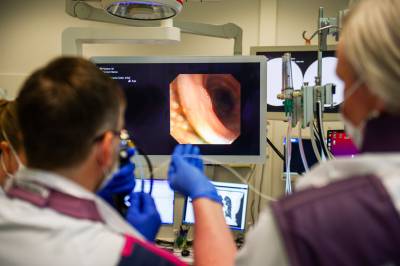 Viser vei i lungelabyrinten 