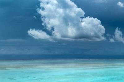 Åpner kildekode: – Vi tar sikte på å beskytte liv