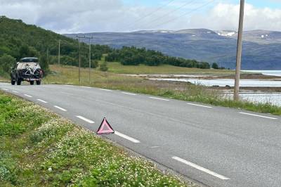 Hvalross sperret veien: – Et utrolig syn