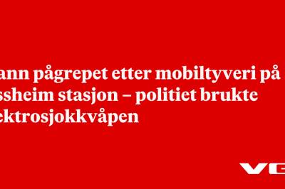 Mann pågrepet etter mobiltyveri på Jessheim stasjon – politiet brukte elektrosjokkvåpen