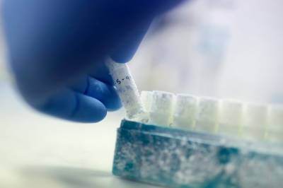 Det må komme internasjonale regler som begrenser hvor mange barn én enkelt donor kan bli opphav til