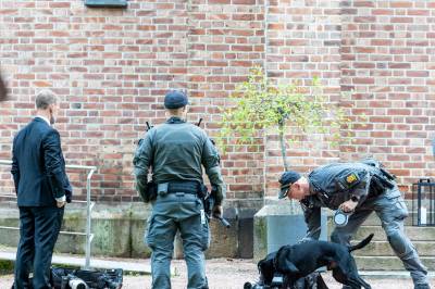 Ber Danmark om bombehunder til kongens gravferd