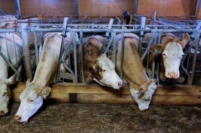 Subsidierer den maten vi bør spise mindre av