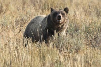 Overrasker med ølstunt: Ekspert reagerer