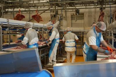 Slakteri på Otta er i trøbbel