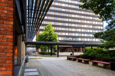 Trosser KI-usikkerhet: Økonomistudier blant årets mest populære