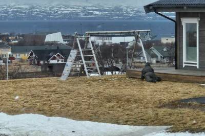 Raser mot politiøvelse