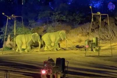 Ikke hva det ser ut som