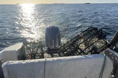 Krabbehiv i Lyngørsund