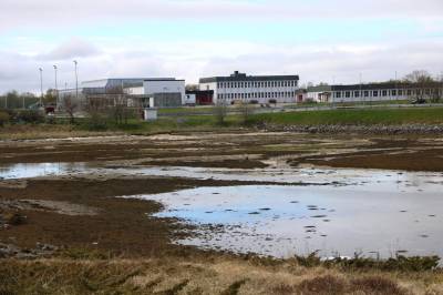 To av fem trives dårlig på skolen i Herøy