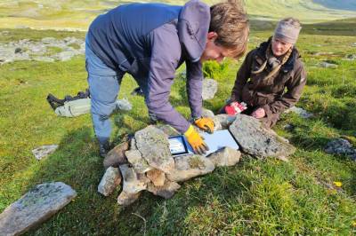 Smågnager-krasj gir trøbbel for livet i fjellet