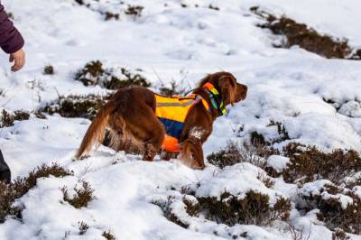 Dobbelt så mange kvinnelige jegere som for 25 år siden