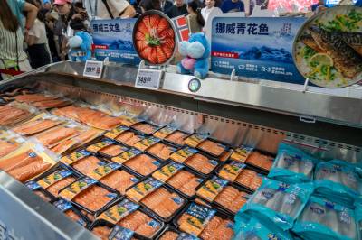 Billig import hjelper Russlands krigsmaskin