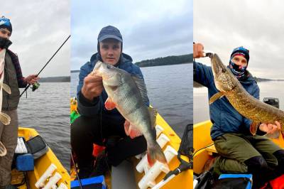 Har funnet sitt sportsfiskeparadis i Vansjø