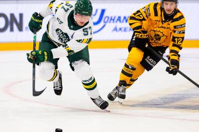 Skellefteå - Björklöven