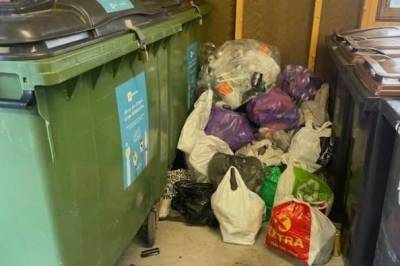 Da tyvene ble tatt på fersken fikk de dårlig samvittighet