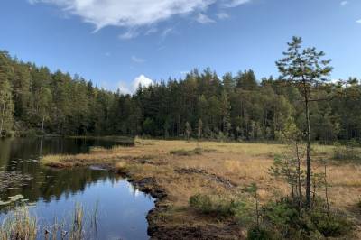Nå kan forskerne finne ut hvor klima­gassen kommer fra