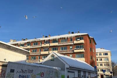 Vi raser mot Melkøya-elektrifisering – mens Norgespris gir tilsvarende økning i strømforbruk