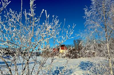 Venter i spenning: – Vi kan faget for godt til at vi inngår veddemål om snø til jul