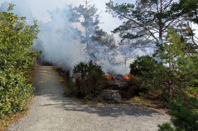 Brann i Kristiansand: – Det så rimelig heftig ut