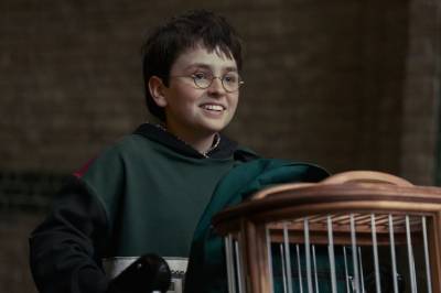 Ny Harry Potter-serie møtes med eufori – og raseri