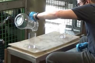 Apen Kanzi viste at det ikke bare er mennesker som kan bruke fantasien