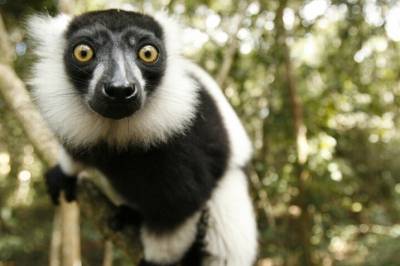 Er du vill etter rare dyr? Nysgjerrig på historie eller universet? Opptatt av helse?