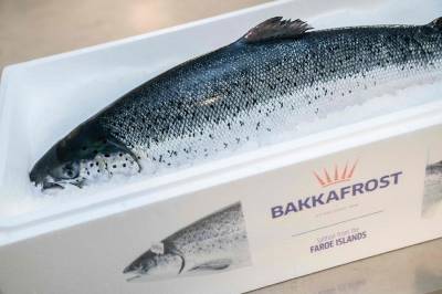 Bakkafrost tapte 241 millioner danske kroner før skatt