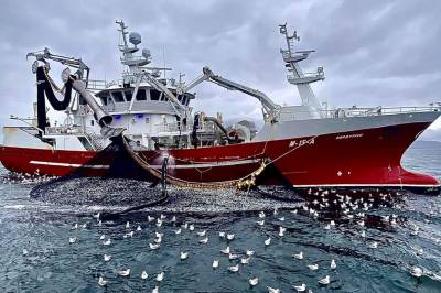 Fiskebåtrederi i Egersund gikk glipp av kvote verdt opptill 200 millioner kroner