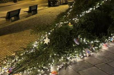 Julegrana sagd ned - igjen