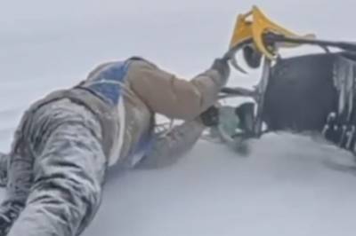 Hundelsede-drama: - Hjelp meg!